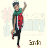 disfraz infantil de sandia